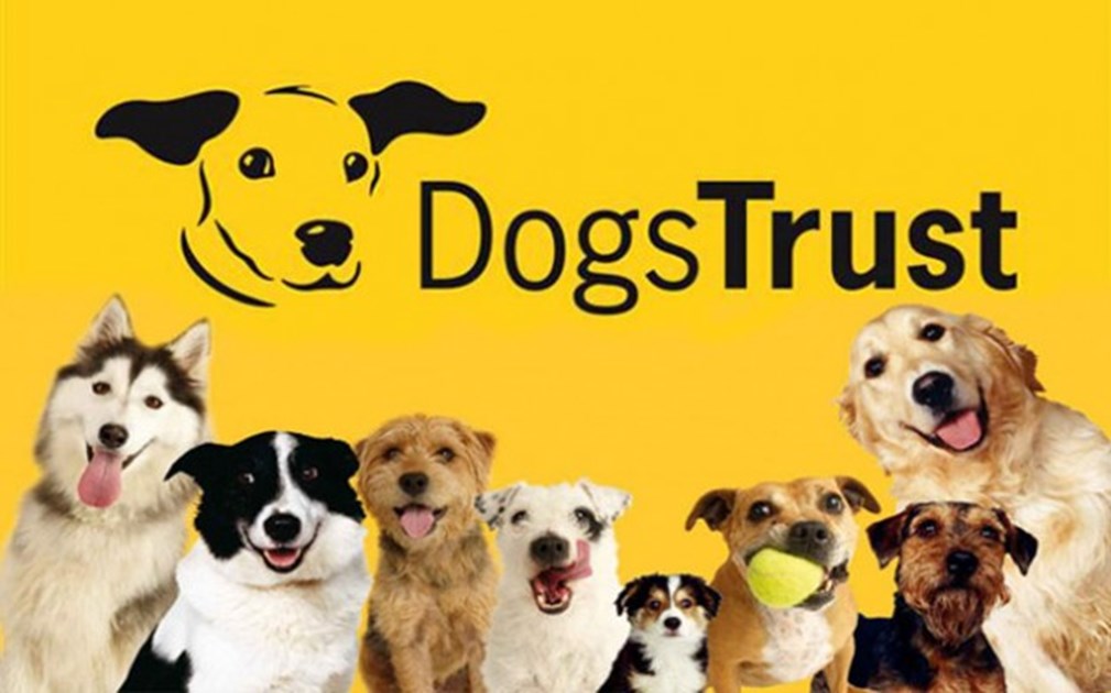 £100 donated to The Dogs Trust